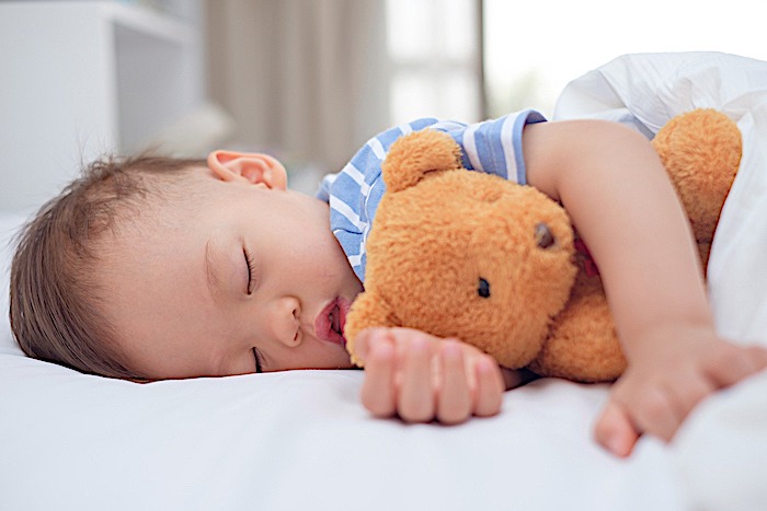 Le sommeil